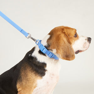 Sport Dog Collar with Quick-Release Buckle - beagle wearing the sky blue collar, sport collar with quick release for outdoor