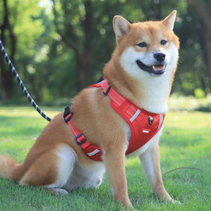 Reflective No-Pull Dog Harness for Walking and Training - shiba inu wearing the red harness outdoors, reflective no pull harness for outdoor control