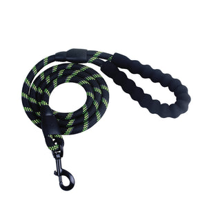 Black and green reflective rope dog leash with padded handle and metal clasp