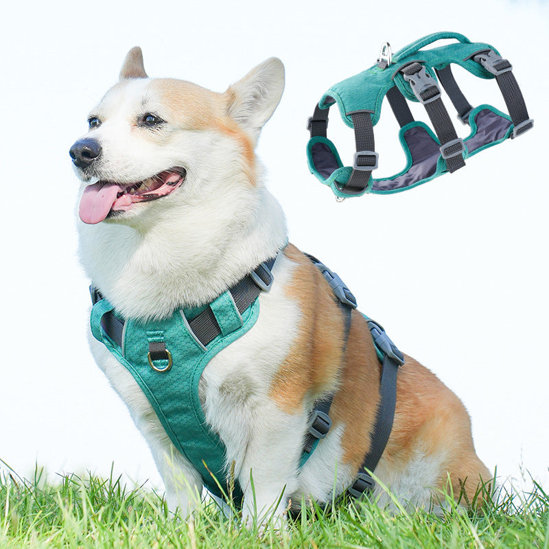 Shock-Absorbing Reflective Dog Harness Vest - corgi wearing the teal harness vest, for dogs walking training running
