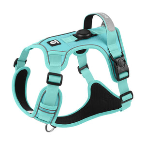 No-Pull GPS Dog Harness - mint green no-pull harness with a tracker mount, for dogs walking training tracking