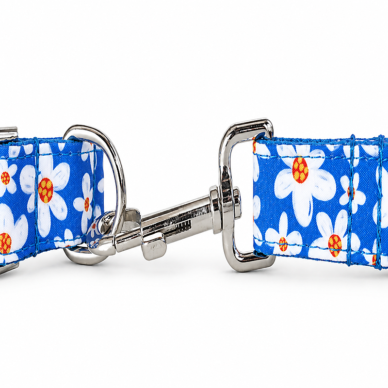 Azure Daisy Dog Leash