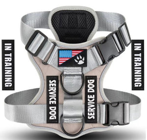 No-Pull Dog Vest Harness - detail view
