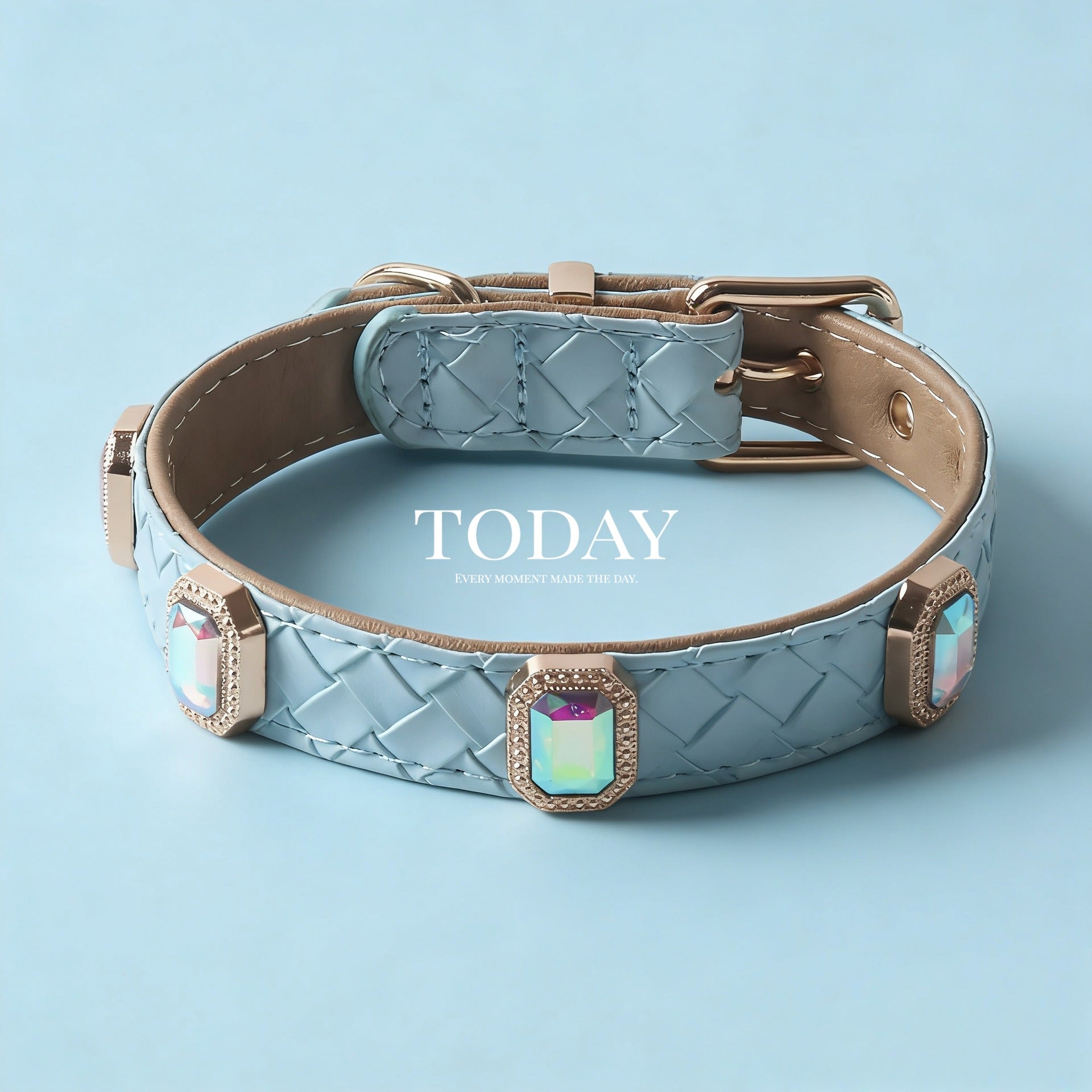 Braided Leather Dog Collar and Leash Set