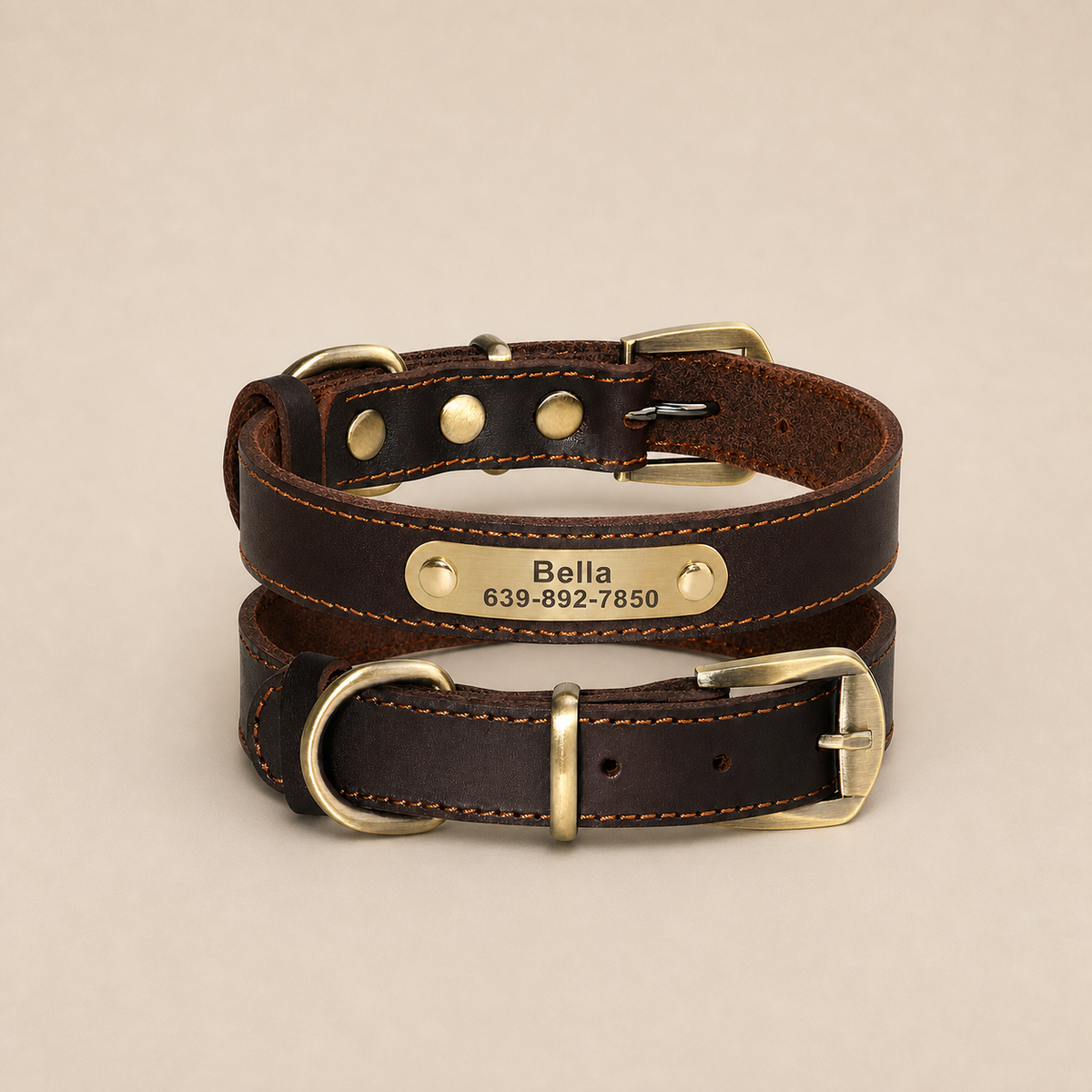 Personalized Dog Collars with Nameplate ID Tags for Medium Large Dogs
