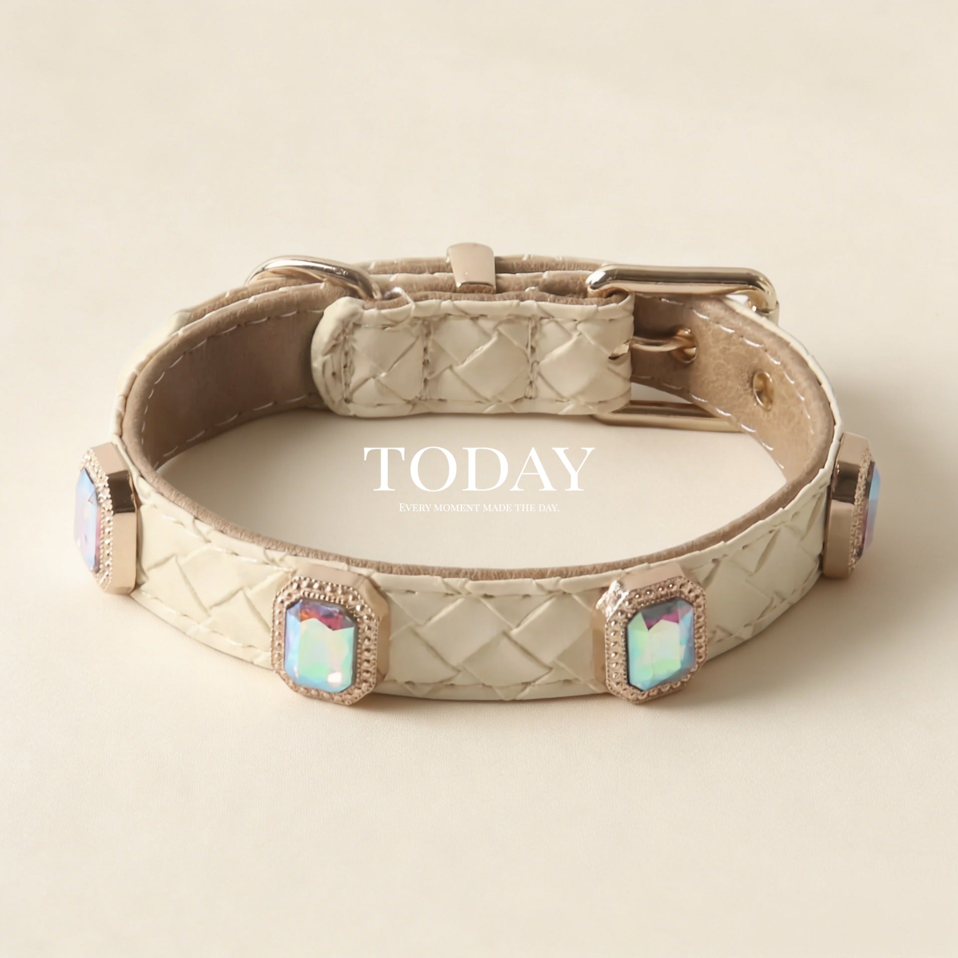 Braided Leather Dog Collar and Leash Set