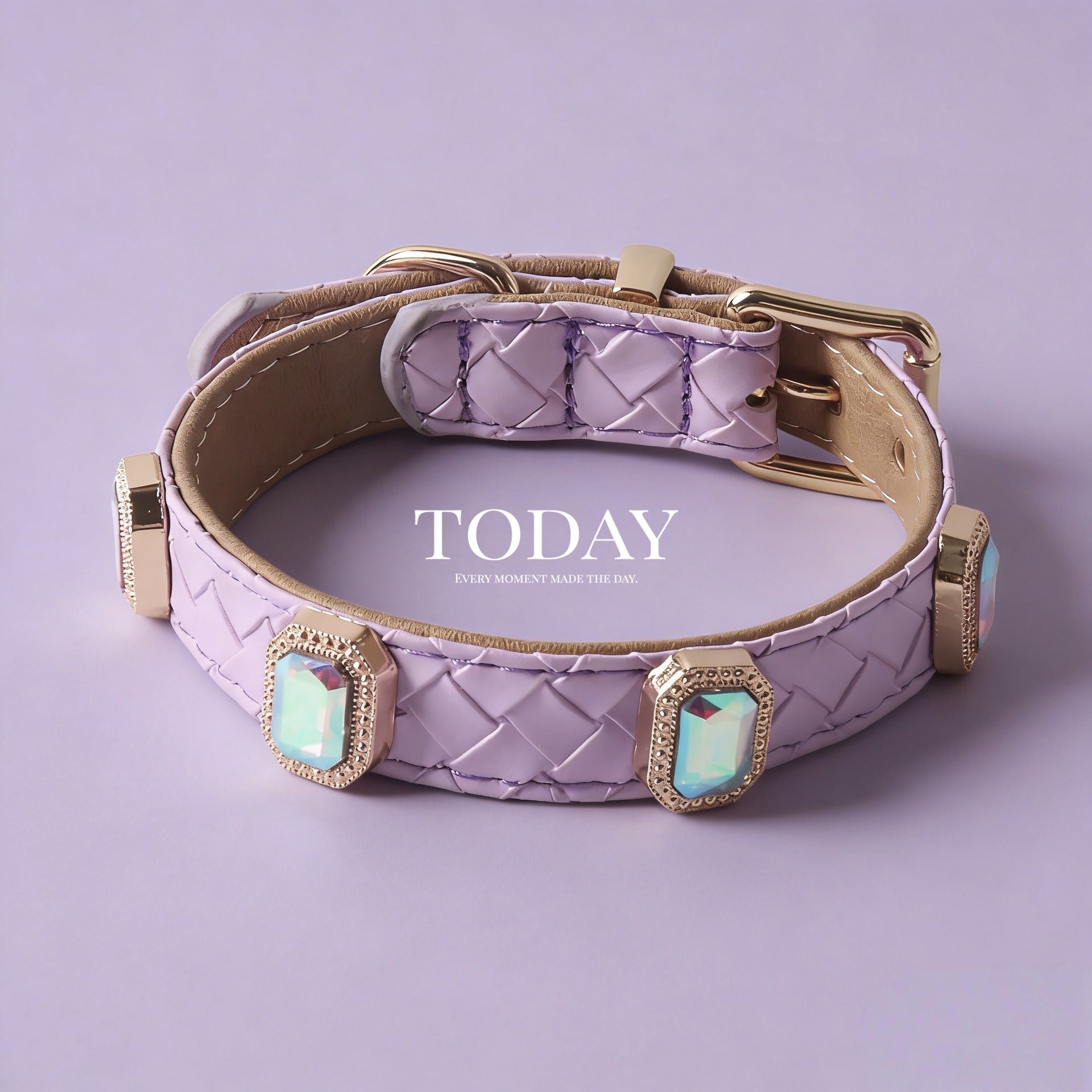 Braided Leather Dog Collar and Leash Set