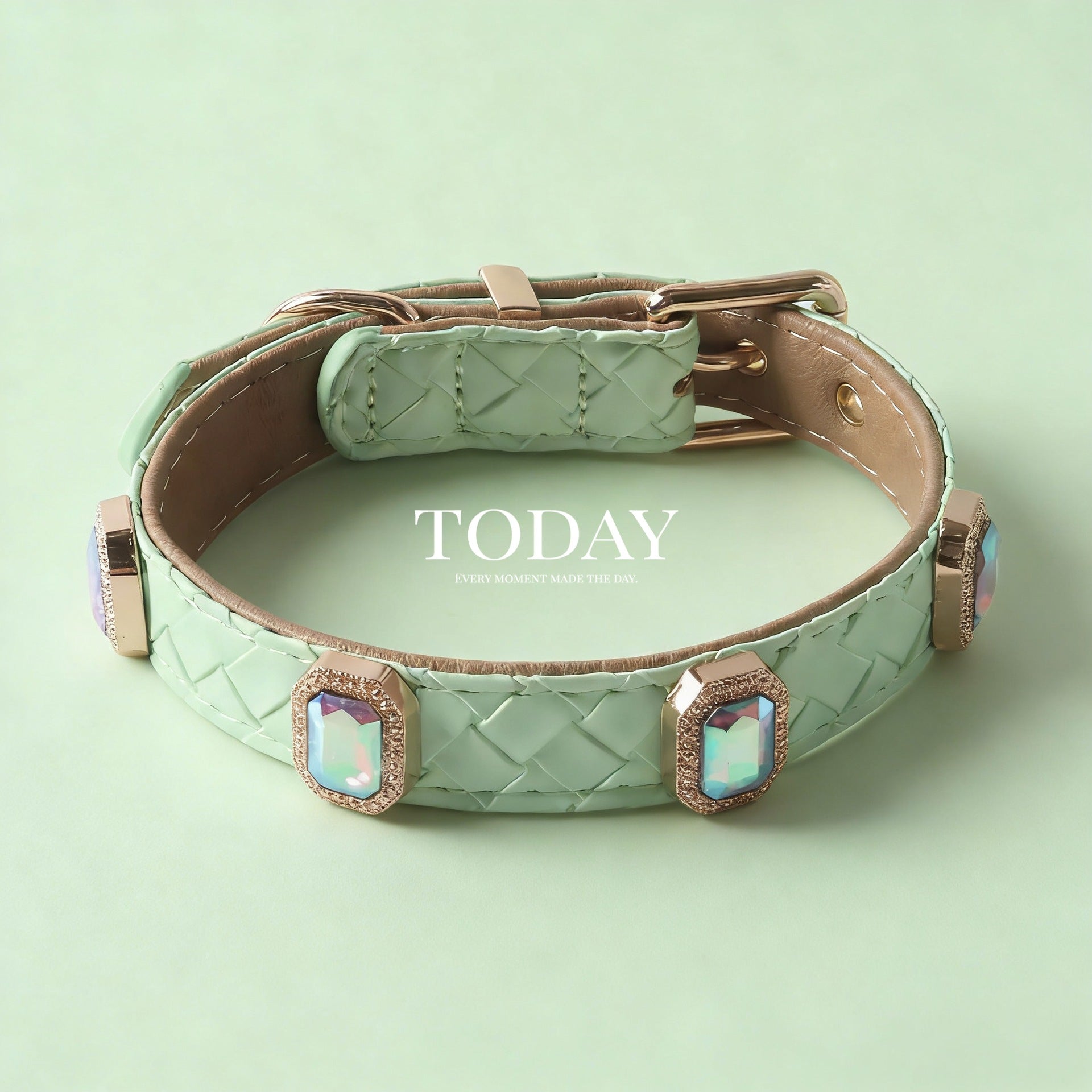 Braided Leather Dog Collar and Leash Set