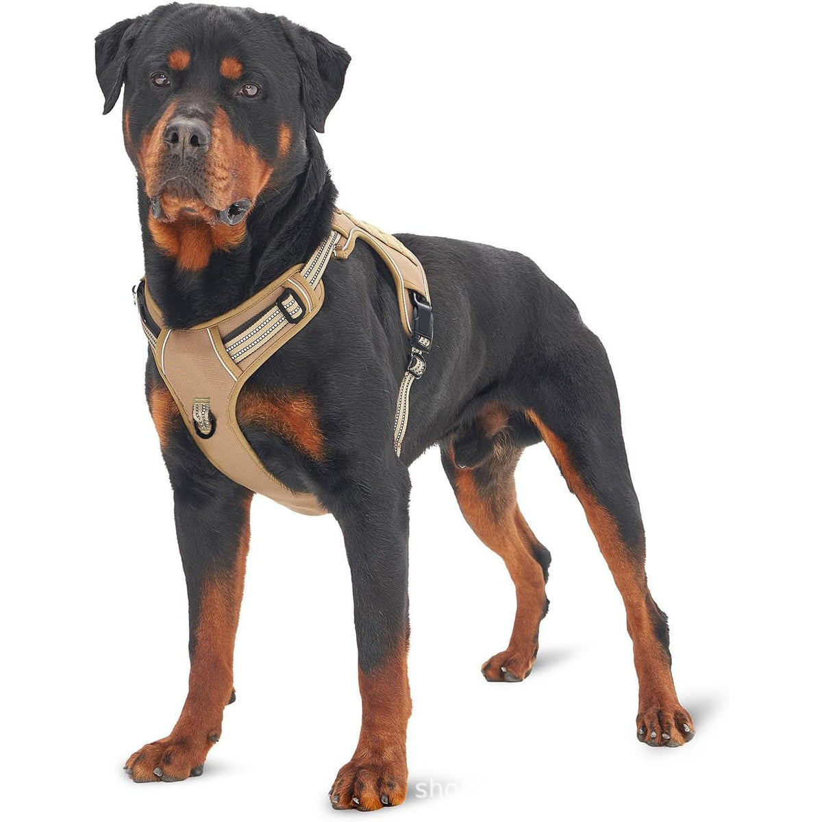 Reflective Tactical Dog Harness – Safety Vest for Dogs - front view