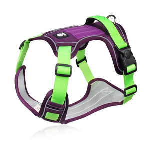 No-Pull Reflective Dog Harness, Leash & Vest Set — Variant B
