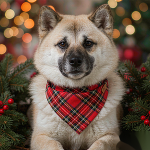Dog Bandana - Plaid and Print Triangle Scarf - dog wearing a red plaid bandana