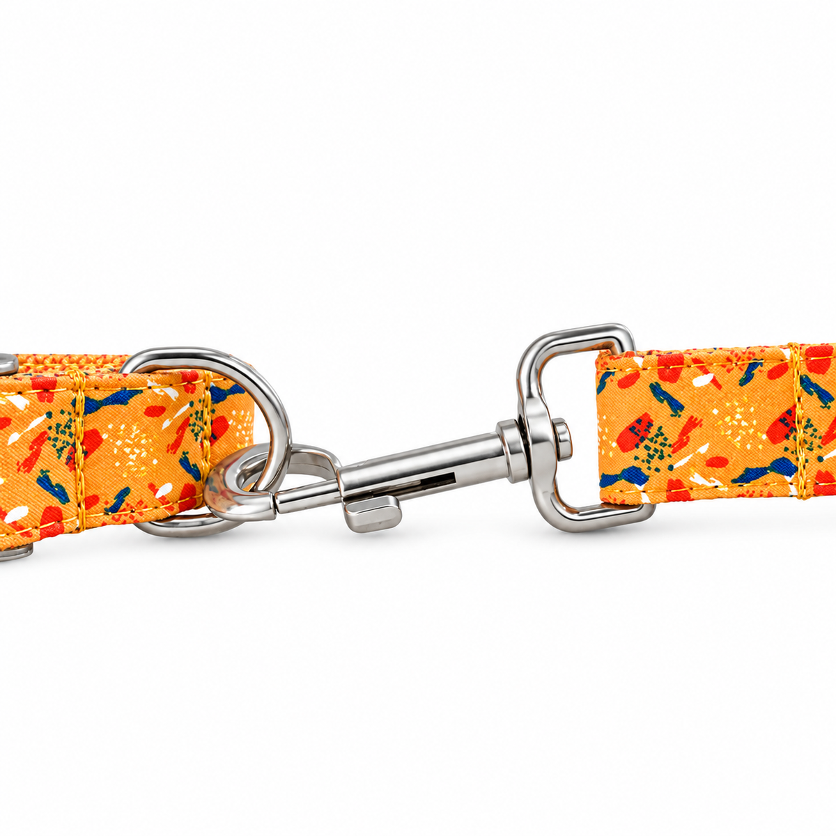 Citrus Splash Dog Collar, Leash & Bow Tie Set