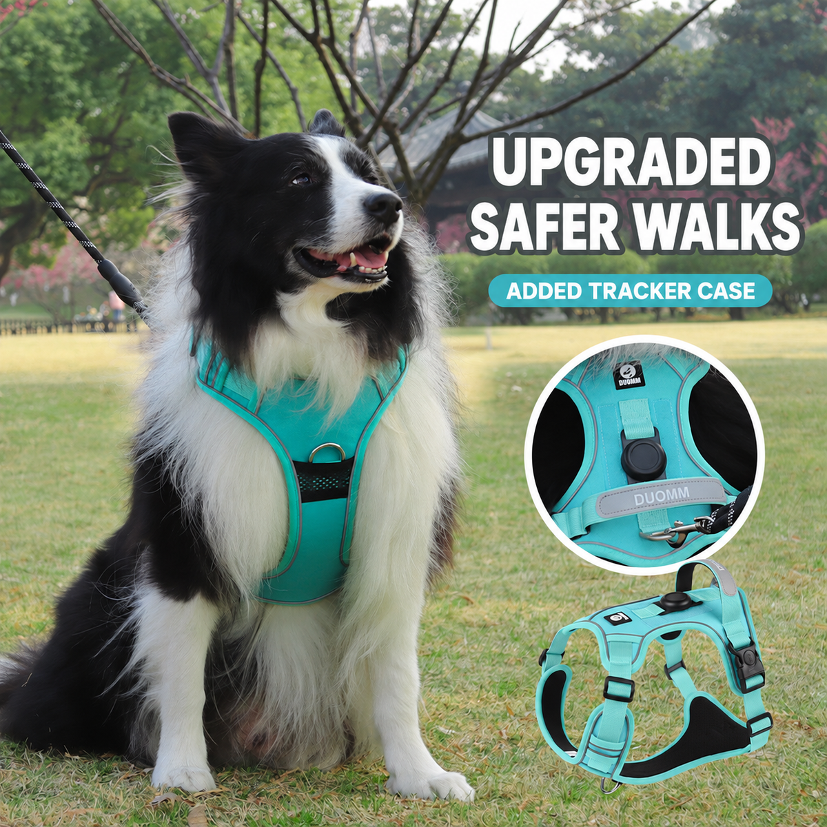 No-Pull GPS Dog Harness - mint green no-pull harness with added tracker case worn by a border collie, safer walks for dog training