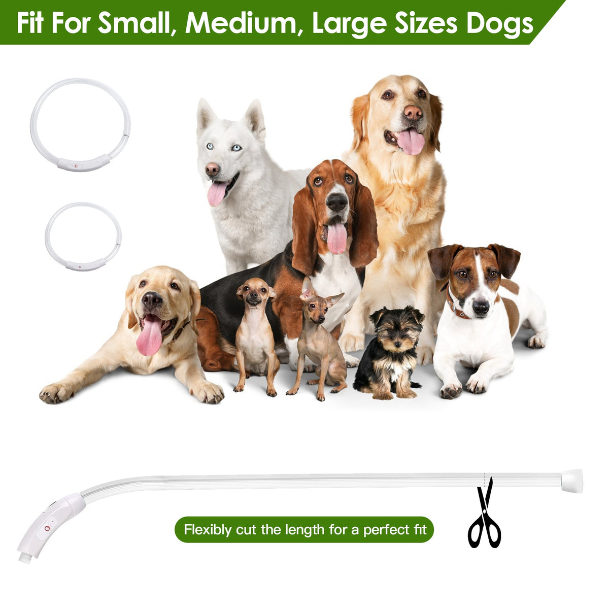 Cut-to-fit white LED dog collar shown with small, medium and large dogs