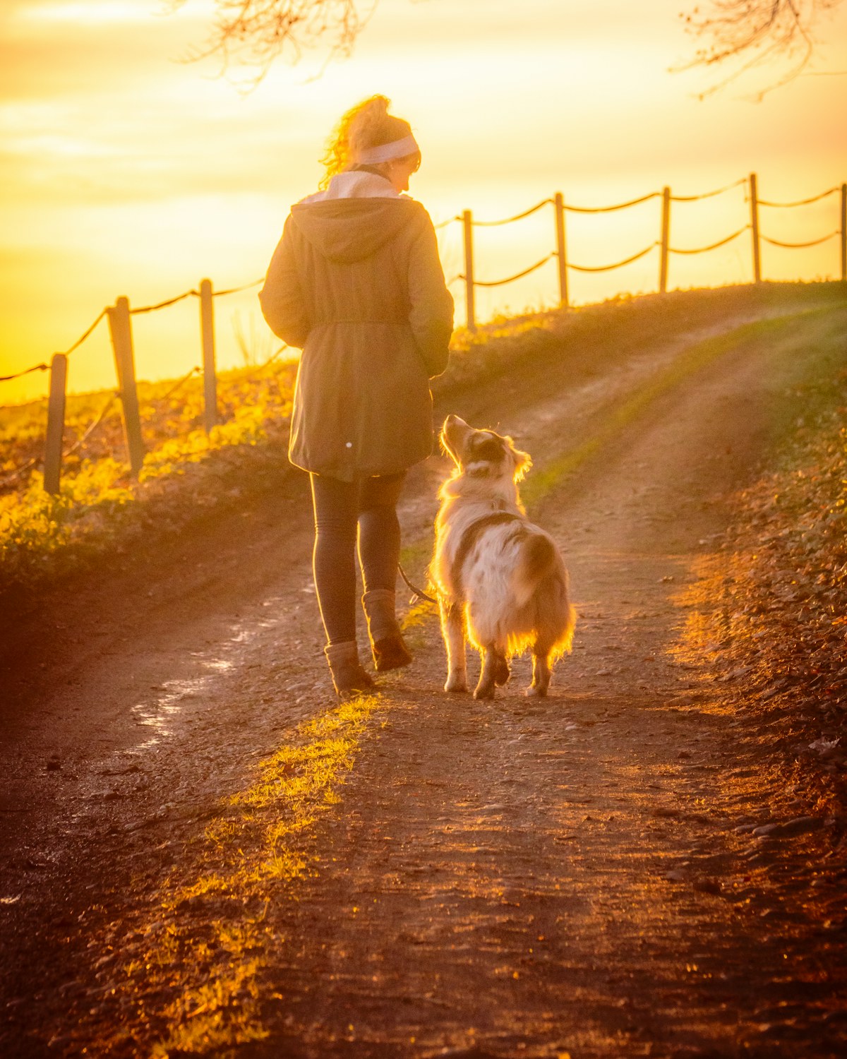 Dog and owner enjoying an everyday walk at sunset